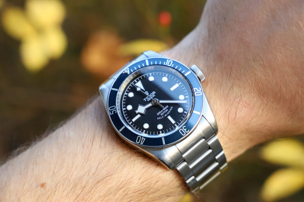 Should you buy the ETA Tudor Black Bay or In-House?