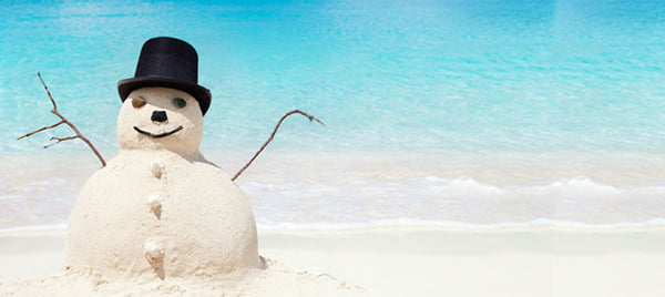 A Completely Ridiculously Fun and Extravagant Holiday Gift Guide